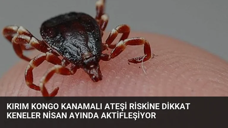 Kırım Kongo Kanamalı Ateşi Riskine Dikkat Keneler Nisan Ayında Aktifleşiyor