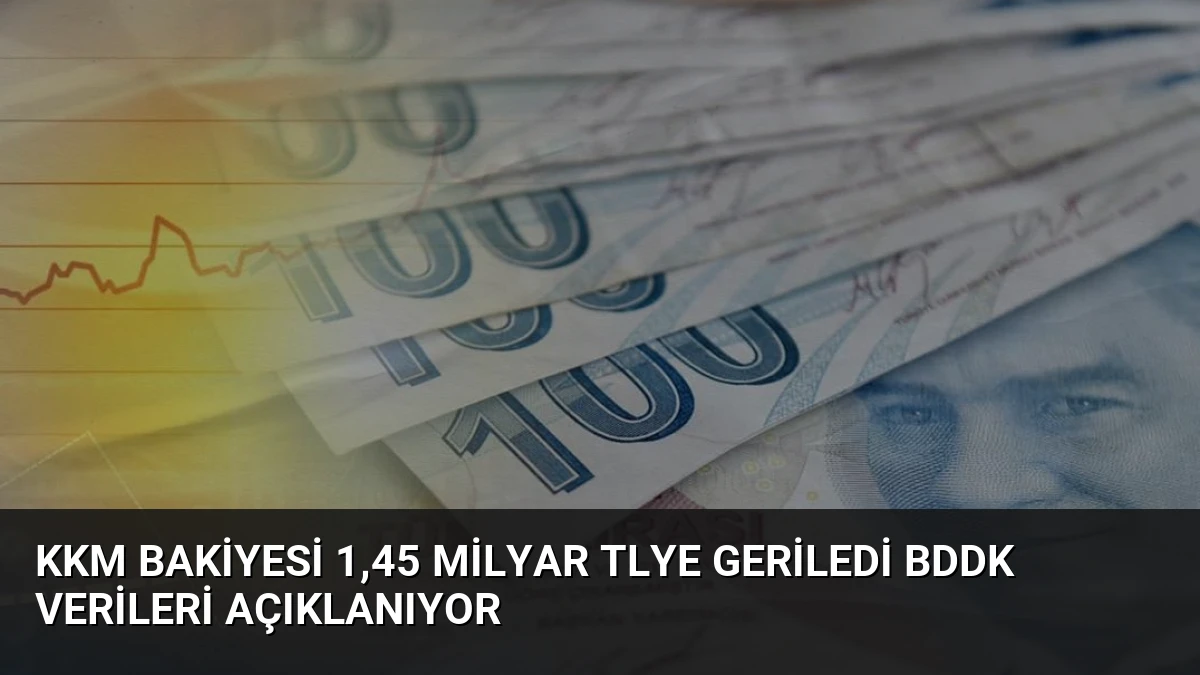 KKM Bakiyesi 1,45 Milyar TLye Geriledi BDDK Verileri Açıklanıyor