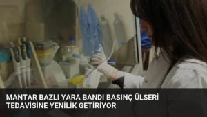 Mantar Bazlı Yara Bandı Basınç Ülseri Tedavisine Yenilik Getiriyor