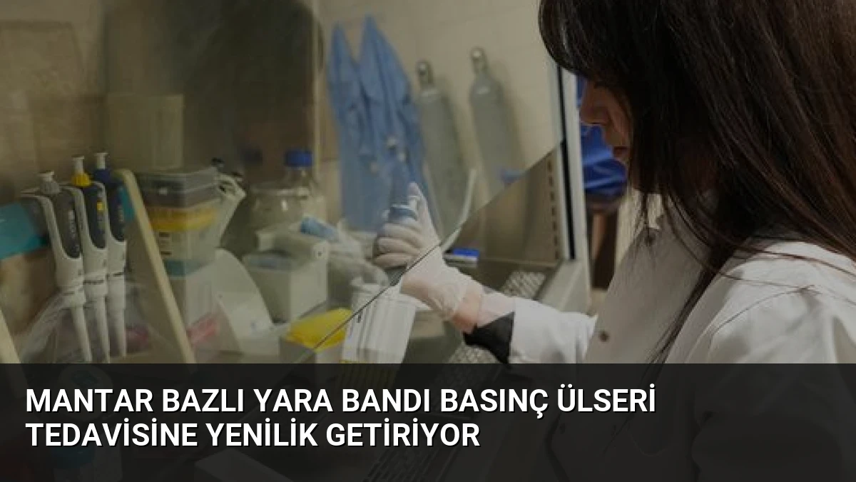 Mantar Bazlı Yara Bandı Basınç Ülseri Tedavisine Yenilik Getiriyor