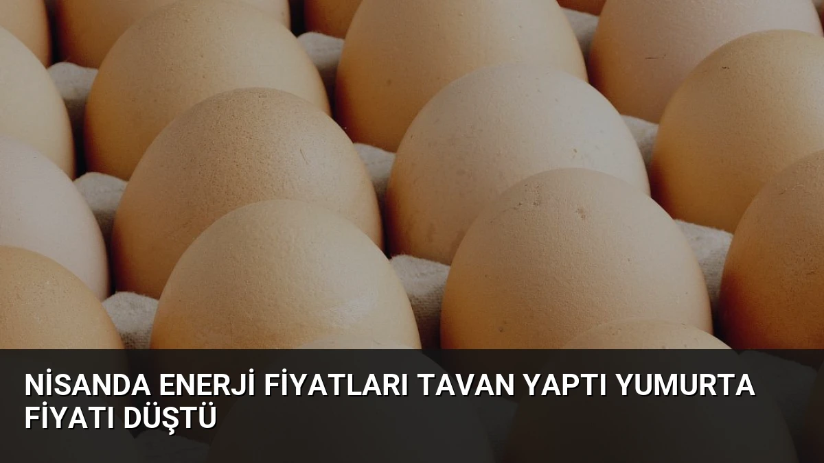 Nisanda Enerji Fiyatları Tavan Yaptı Yumurta Fiyatı Düştü