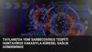 Tayland'da Yeni Sarbecovirus Tespiti Hantavirus Vakasıyla Küresel Sağlık Gündeminde
