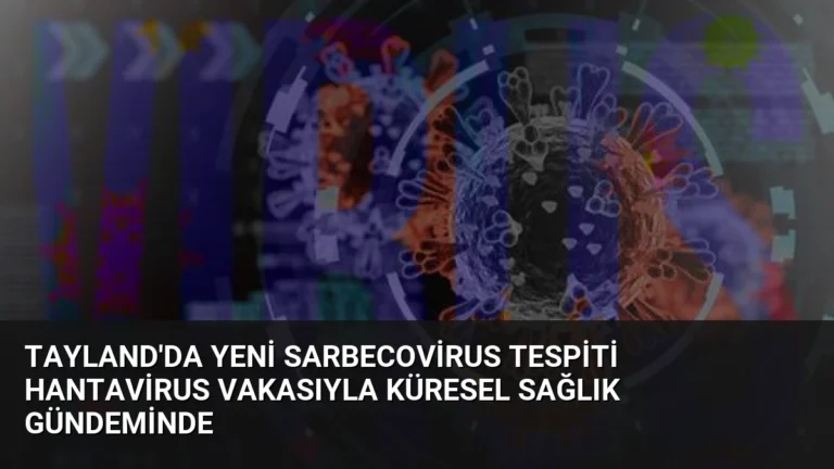 Tayland’da Yeni Sarbecovirus Tespiti Hantavirus Vakasıyla Küresel Sağlık Gündeminde