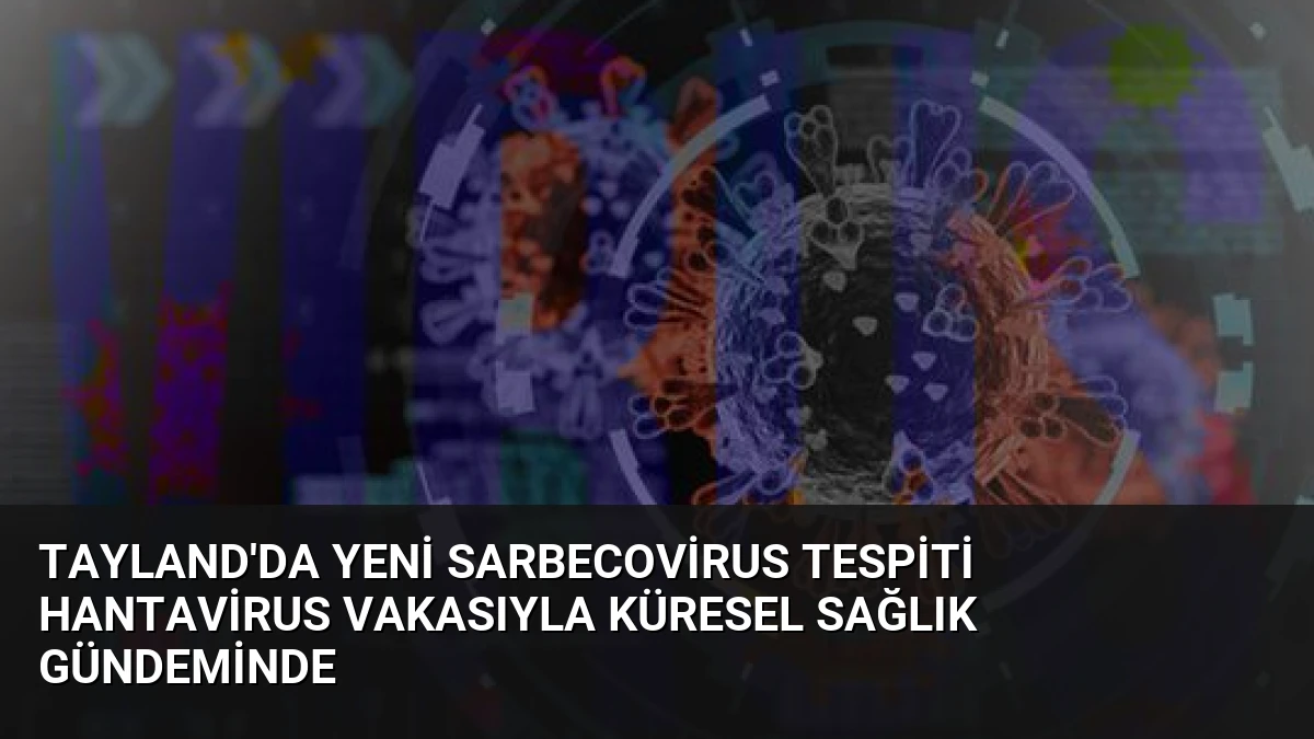 Tayland’da Yeni Sarbecovirus Tespiti Hantavirus Vakasıyla Küresel Sağlık Gündeminde