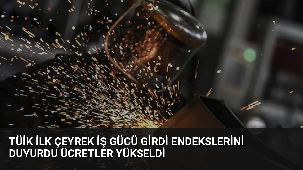 TÜİK İlk Çeyrek İş Gücü Girdi Endekslerini Duyurdu Ücretler Yükseldi