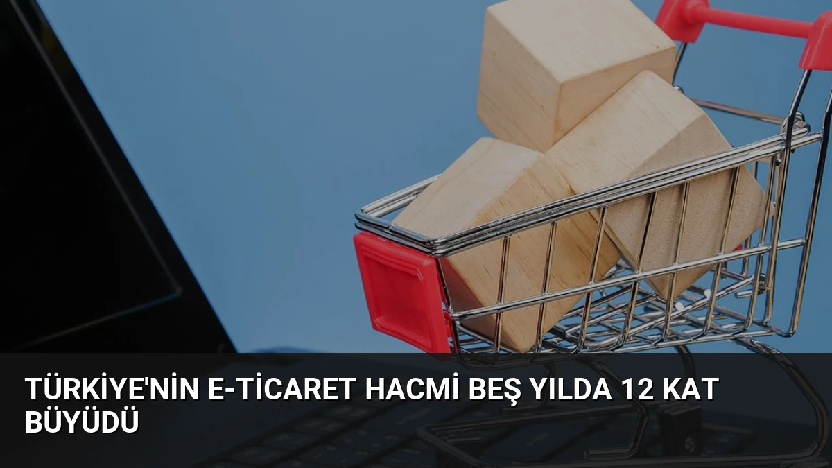 Türkiye’nin E-ticaret Hacmi Beş Yılda 12 Kat Büyüdü