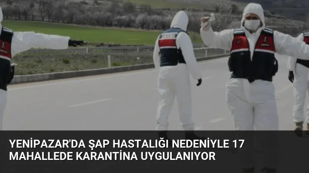 Yenipazar'da Şap Hastalığı Nedeniyle 17 Mahallede Karantina Uygulanıyor