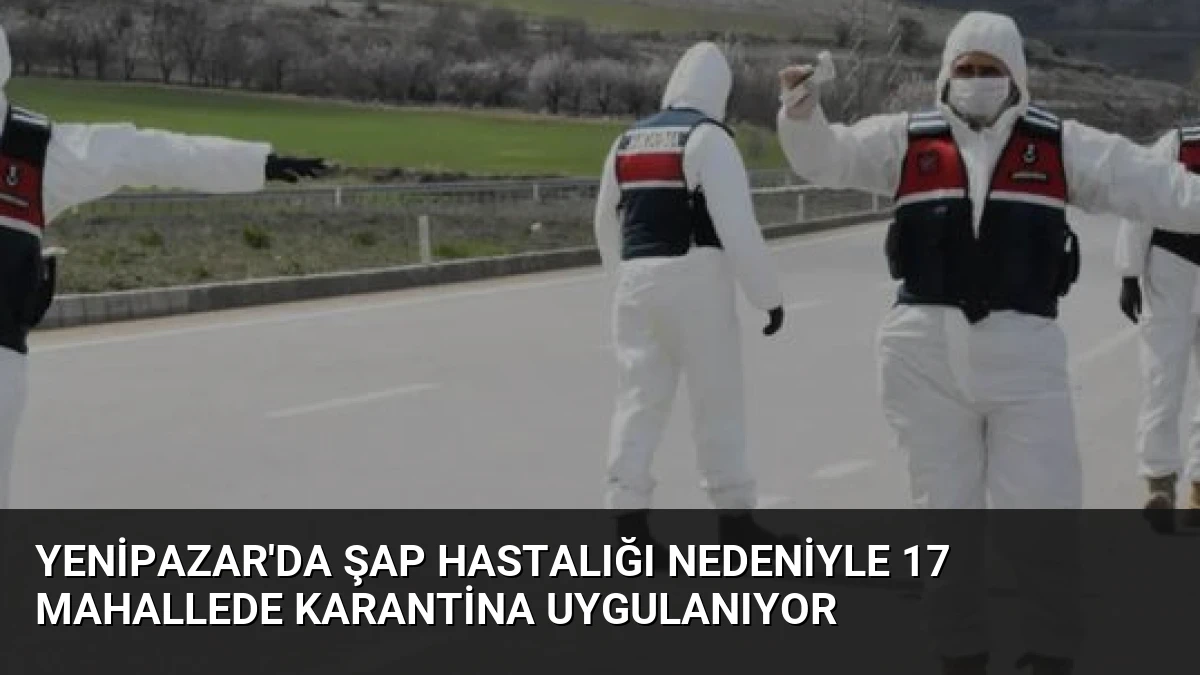 Yenipazar’da Şap Hastalığı Nedeniyle 17 Mahallede Karantina Uygulanıyor