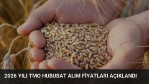 2026 Yılı TMO Hububat Alım Fiyatları Açıklandı
