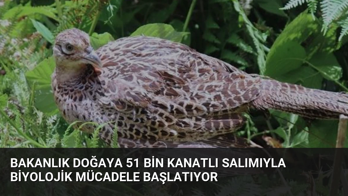 Bakanlık Doğaya 51 Bin Kanatlı Salımıyla Biyolojik Mücadele Başlatıyor