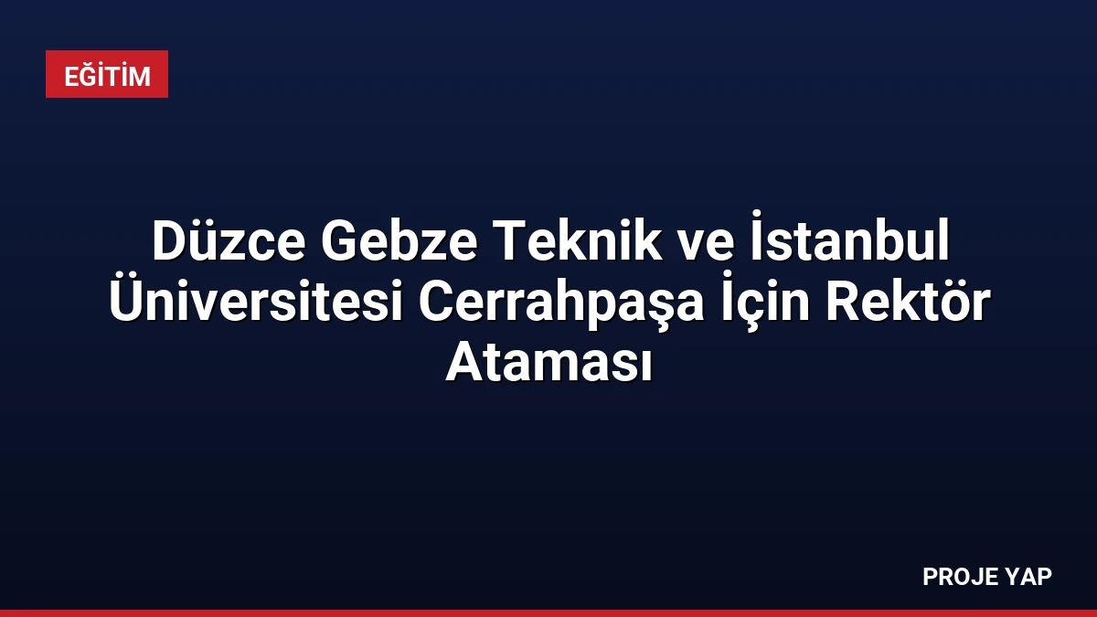 Düzce Gebze Teknik ve İstanbul Üniversitesi Cerrahpaşa İçin Rektör Ataması
