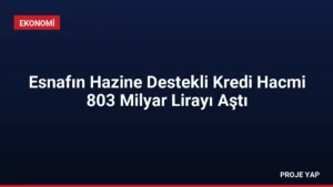 Esnafın Hazine Destekli Kredi Hacmi 803 Milyar Lirayı Aştı