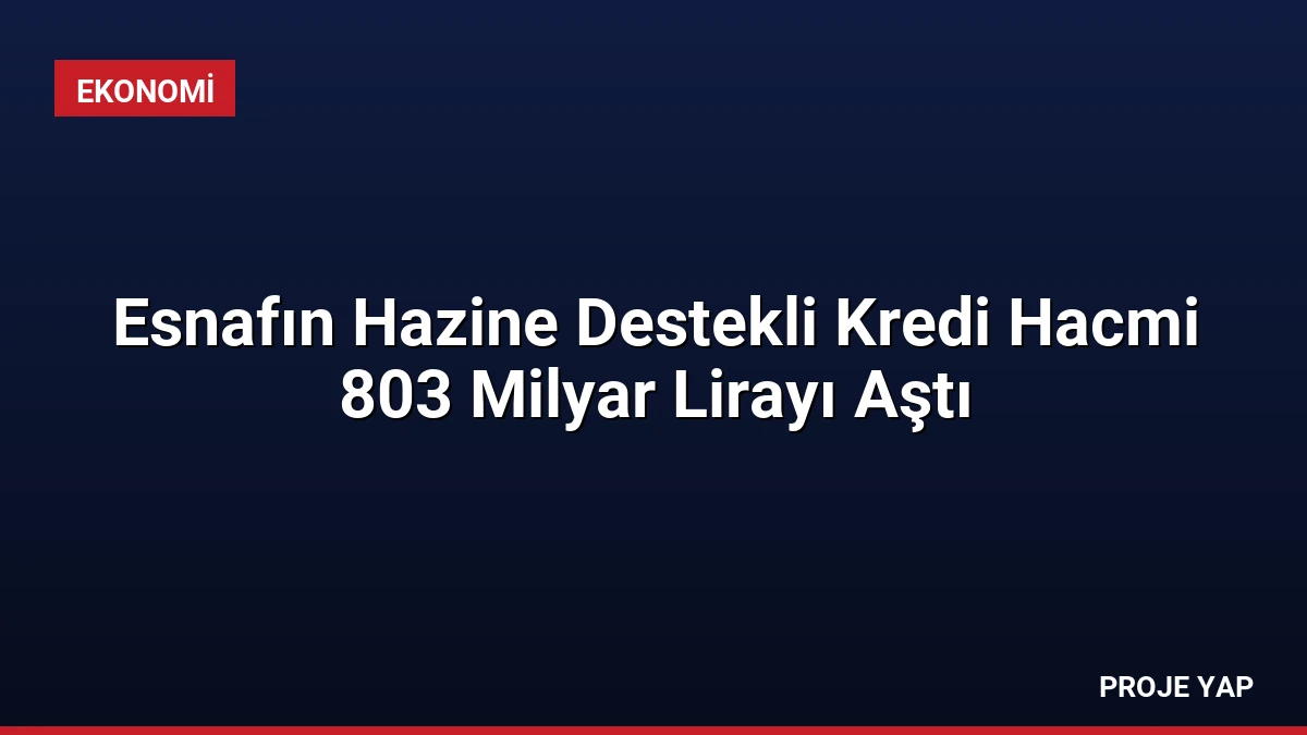 Esnafın Hazine Destekli Kredi Hacmi 803 Milyar Lirayı Aştı