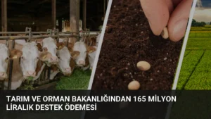 Tarım ve Orman Bakanlığından 165 Milyon Liralık Destek Ödemesi