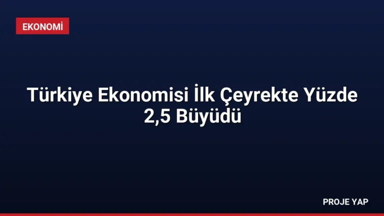 Türkiye Ekonomisi İlk Çeyrekte Yüzde 2,5 Büyüdü