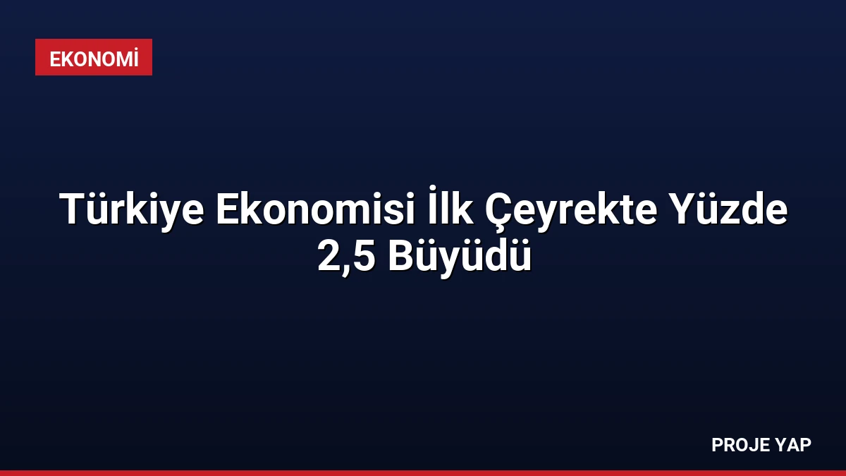 Türkiye Ekonomisi İlk Çeyrekte Yüzde 2,5 Büyüdü