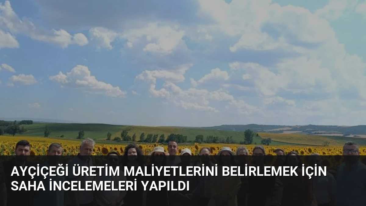 Ayçiçeği Üretim Maliyetlerini Belirlemek İçin Saha İncelemeleri Yapıldı