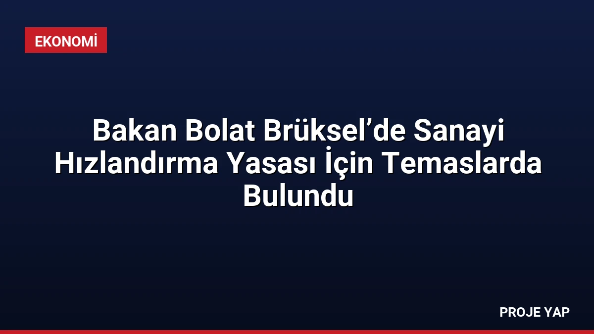 Bakan Bolat Brüksel’de Sanayi Hızlandırma Yasası İçin Temaslarda Bulundu