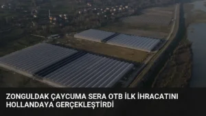 Zonguldak Çaycuma Sera OTB İlk İhracatını Hollandaya Gerçekleştirdi
