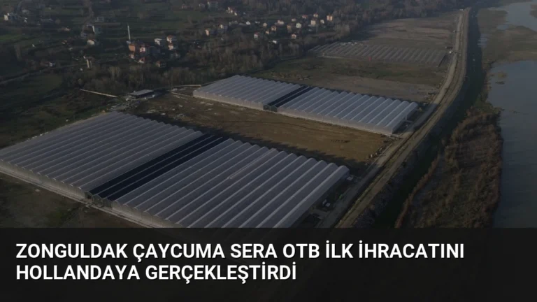 Zonguldak Çaycuma Sera OTB İlk İhracatını Hollandaya Gerçekleştirdi
