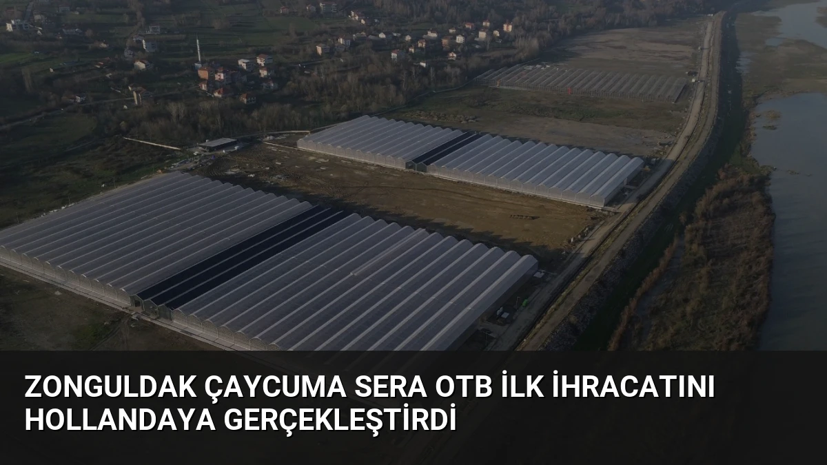 Zonguldak Çaycuma Sera OTB İlk İhracatını Hollandaya Gerçekleştirdi