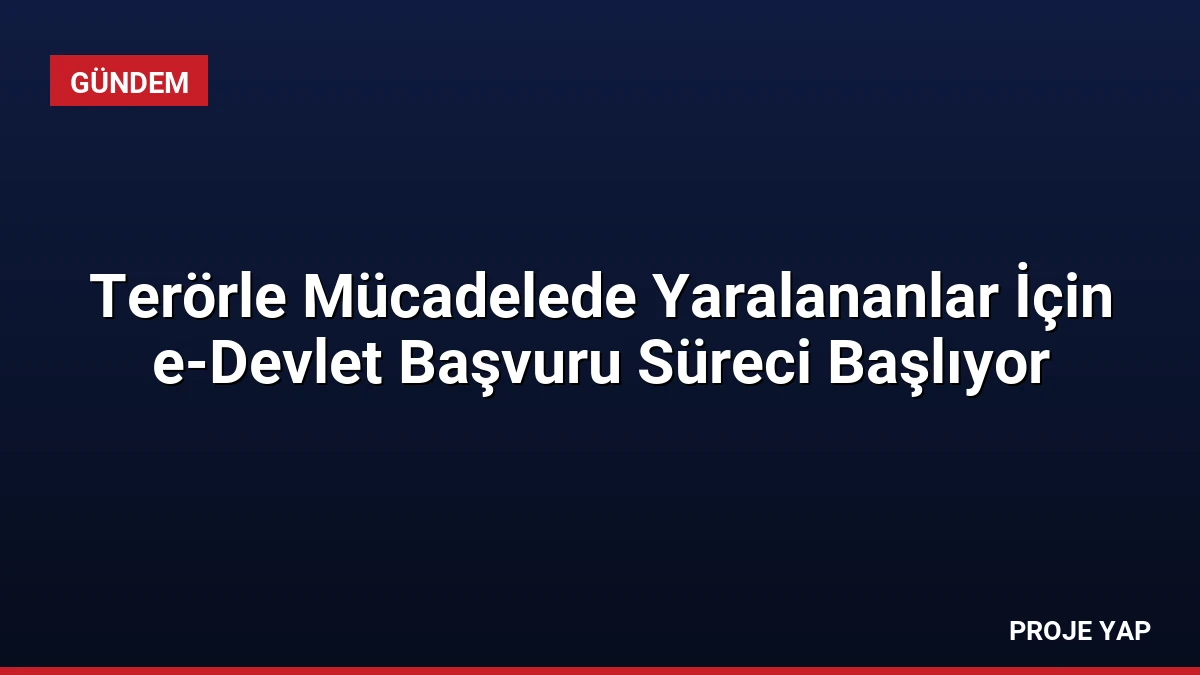 Terörle Mücadelede Yaralananlar İçin e-Devlet Başvuru Süreci Başlıyor