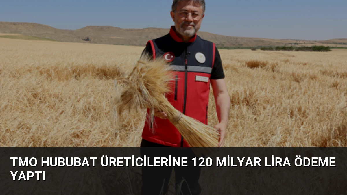 TMO Hububat Üreticilerine 120 Milyar Lira Ödeme Yaptı