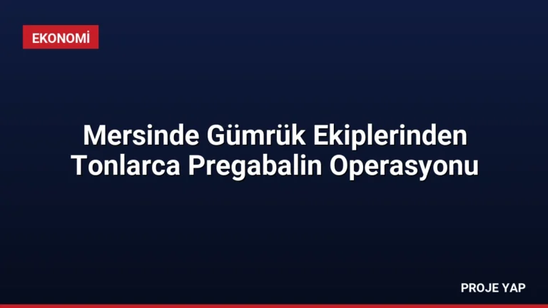 Mersinde Gümrük Ekiplerinden Tonlarca Pregabalin Operasyonu