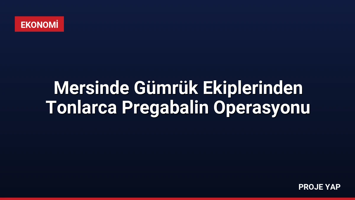 Mersinde Gümrük Ekiplerinden Tonlarca Pregabalin Operasyonu