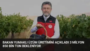 Bakan Yumaklı Üzüm Üretimini Açıkladı 3 Milyon 850 Bin Ton Bekleniyor
