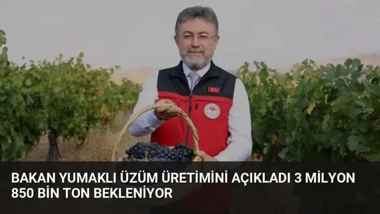 Bakan Yumaklı Üzüm Üretimini Açıkladı 3 Milyon 850 Bin Ton Bekleniyor