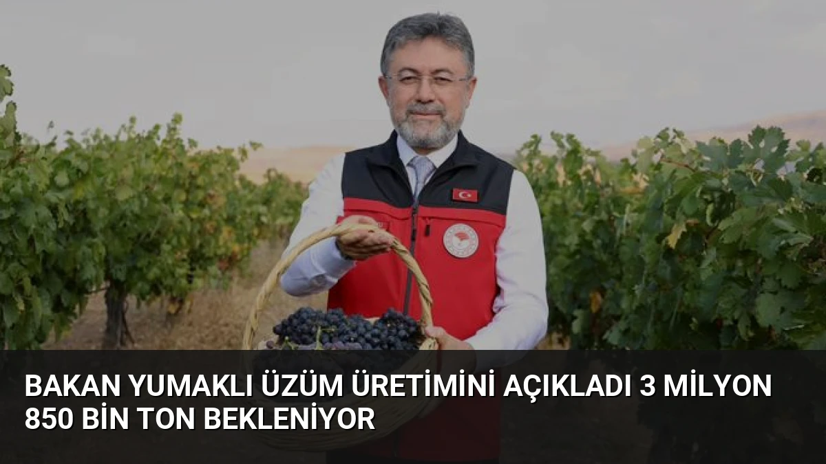 Bakan Yumaklı Üzüm Üretimini Açıkladı 3 Milyon 850 Bin Ton Bekleniyor